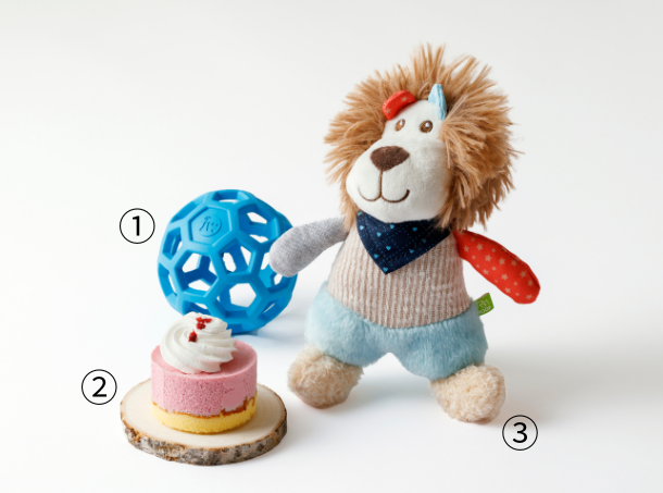 <p class="small"><span class="blue  block">～家族や友人に～</span><span class="orange block">①ホーリーローラーボールミニ ライトブルー　1,100円</span><span class="orange block">②コミフ ベリーの豆乳ムース　626円</span><span class="orange block">③フレンディ ベイビー ライオン　1,738円</span></p>
