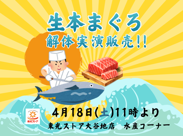 4/18　東光ストア　生本まぐろ解体実演販売！